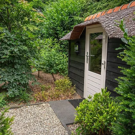 Pets Welcome, Veluwe For *