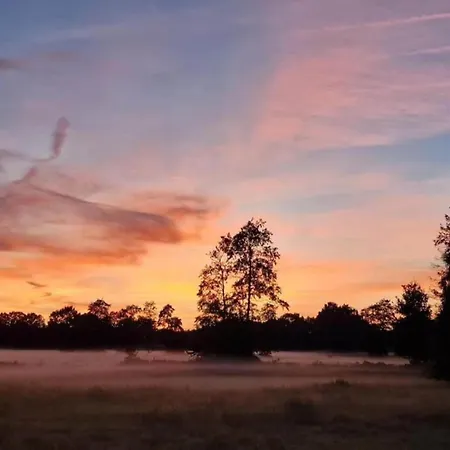 Pets Welcome, Veluwe For * 에르멜로