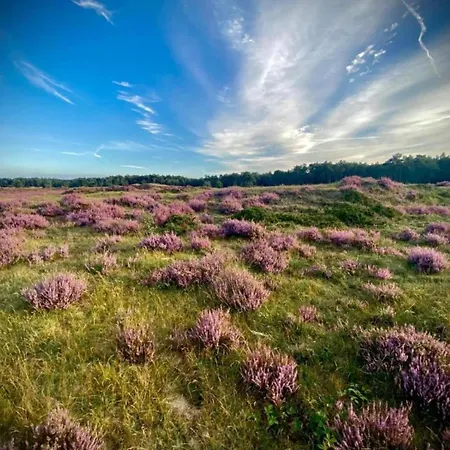 Pets Welcome, Veluwe For Semesterbostad *