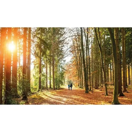 Pets Welcome, Veluwe For *