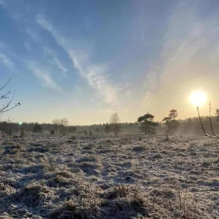 Pets Welcome, Veluwe For 에르멜로