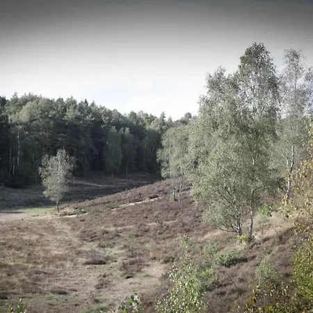 Pets Welcome, Veluwe For 펜션 *