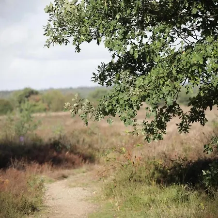 Pets Welcome, Veluwe For * 에르멜로