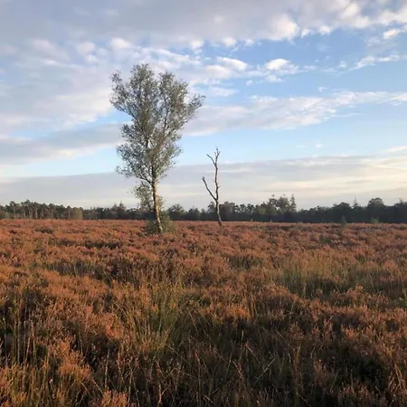 Pets Welcome, Veluwe For Semesterbostad