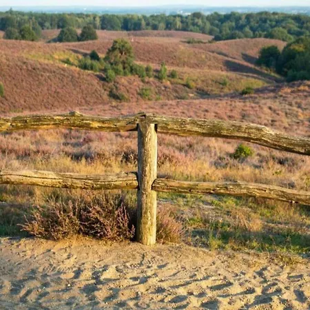 Semesterbostad Pets Welcome, Veluwe For