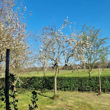 펜션 Pets Welcome, Veluwe For *