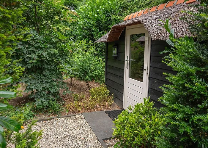 Pets Welcome, Veluwe For *