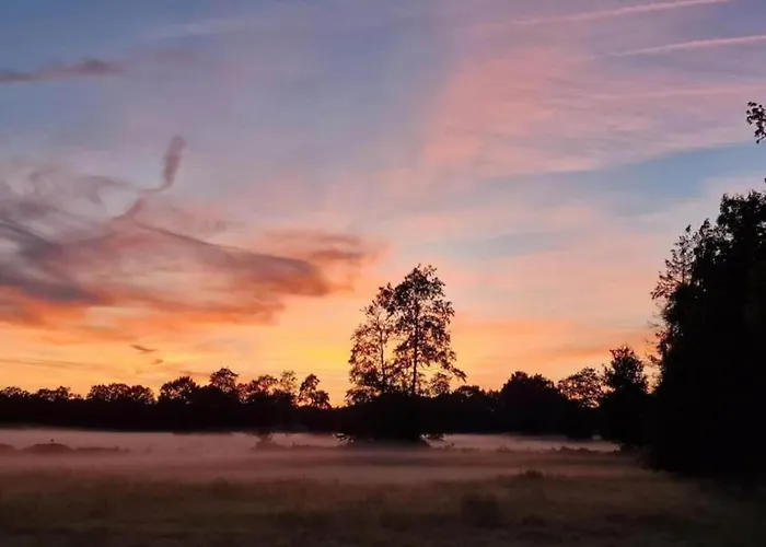 Pets Welcome, Veluwe For * Ermelo