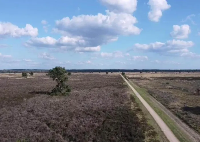 Pets Welcome, Veluwe For Сasa de vacaciones