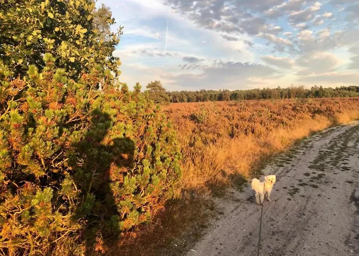 Pets Welcome, Veluwe For Сasa de vacaciones *