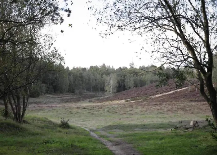 Pets Welcome, Veluwe For Сasa de vacaciones Ermelo