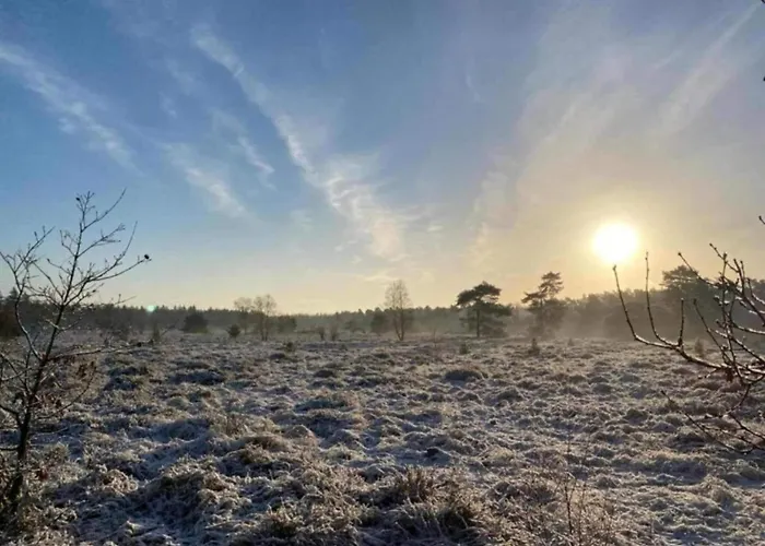 Pets Welcome, Veluwe For Ermelo