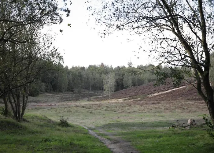 Pets Welcome, Veluwe For