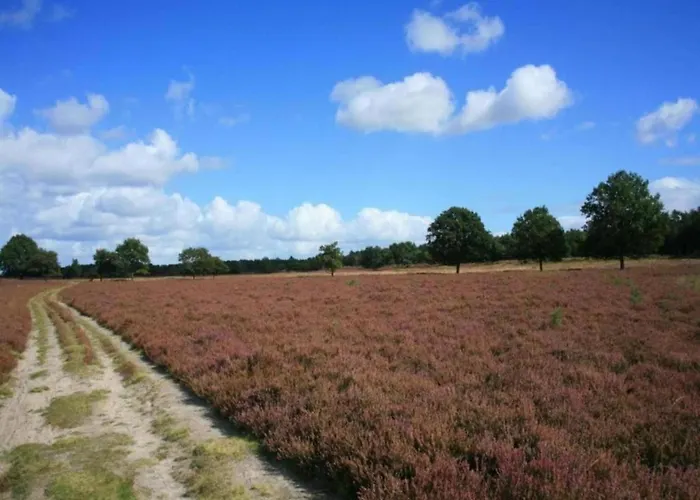 Сasa de vacaciones Pets Welcome, Veluwe For