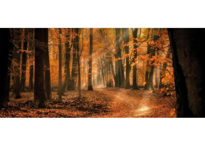 Сasa de vacaciones Pets Welcome, Veluwe For Ermelo