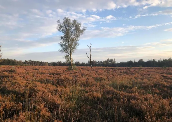 Pets Welcome, Veluwe For Сasa de vacaciones