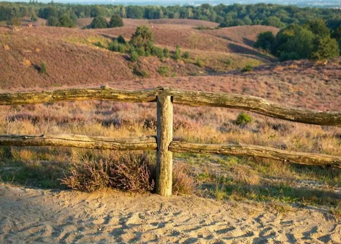 Сasa de vacaciones Pets Welcome, Veluwe For