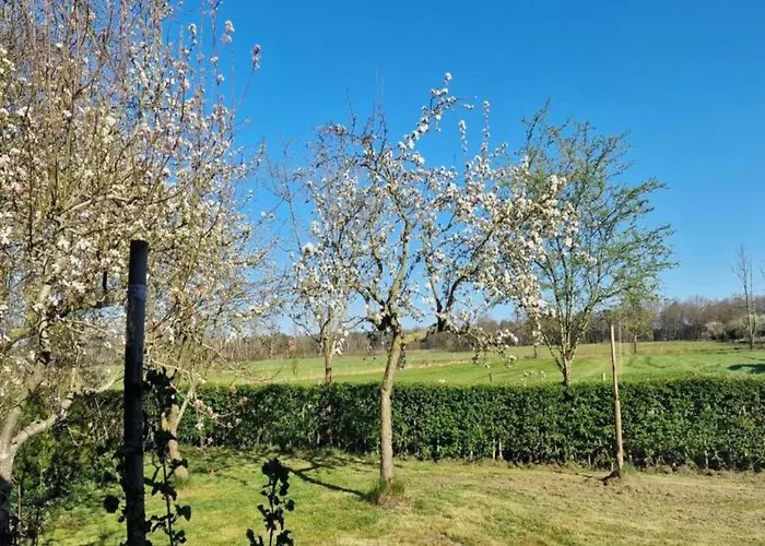 Сasa de vacaciones Pets Welcome, Veluwe For *