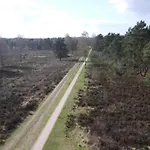 Pets Welcome, Veluwe For Casa vacanze