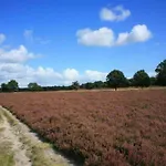Casa vacanze Pets Welcome, Veluwe For