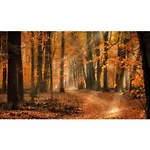 Casa vacanze Pets Welcome, Veluwe For Ermelo