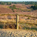 Casa vacanze Pets Welcome, Veluwe For