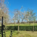 Casa vacanze Pets Welcome, Veluwe For *