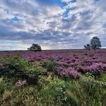 Pets Welcome, Veluwe For * Ermelo