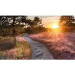 Casa vacanze Pets Welcome, Veluwe For Ermelo