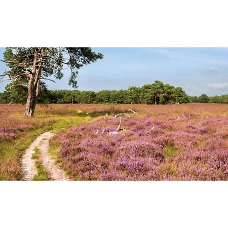 Pets Welcome, Veluwe For Ermelo