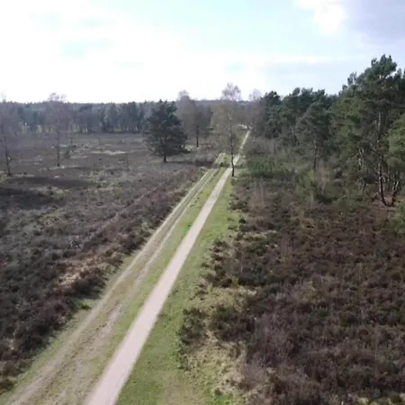 Pets Welcome, Veluwe For Holiday home