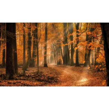 Holiday home Pets Welcome, Veluwe For Ermelo