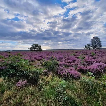 Pets Welcome, Veluwe For * Ermelo