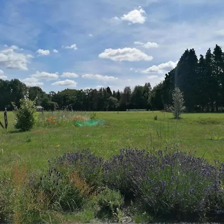Pets Welcome, Veluwe For Ermelo