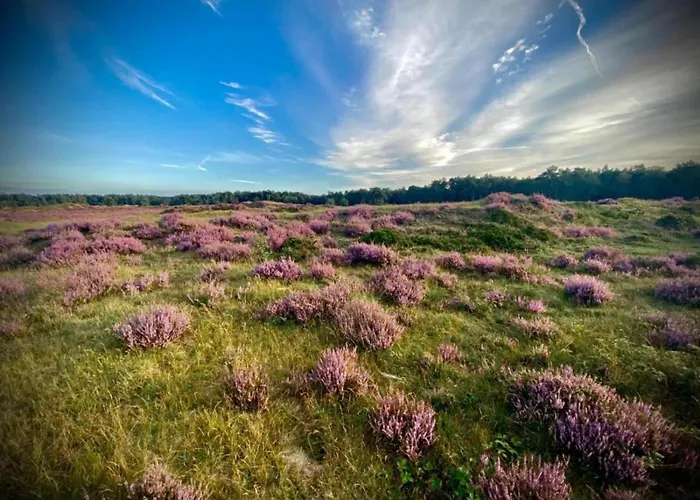 Pets Welcome, Veluwe For Casa de Férias *