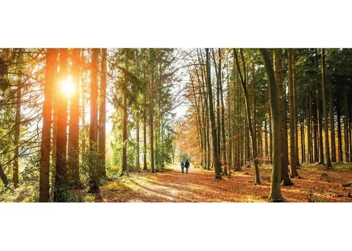 Pets Welcome, Veluwe For *