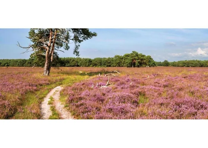 Pets Welcome, Veluwe For Ermelo
