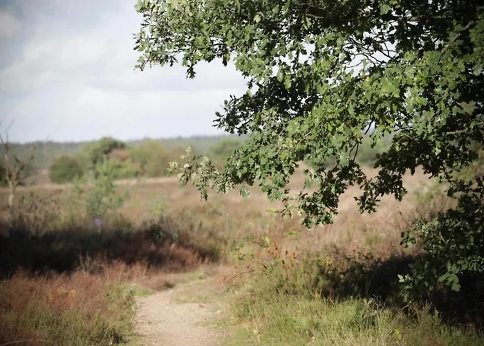 Pets Welcome, Veluwe For * Ermelo