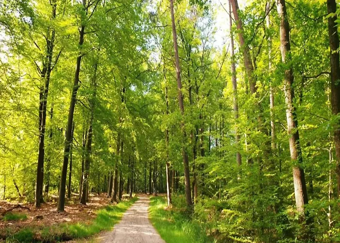 Pets Welcome, Veluwe For *