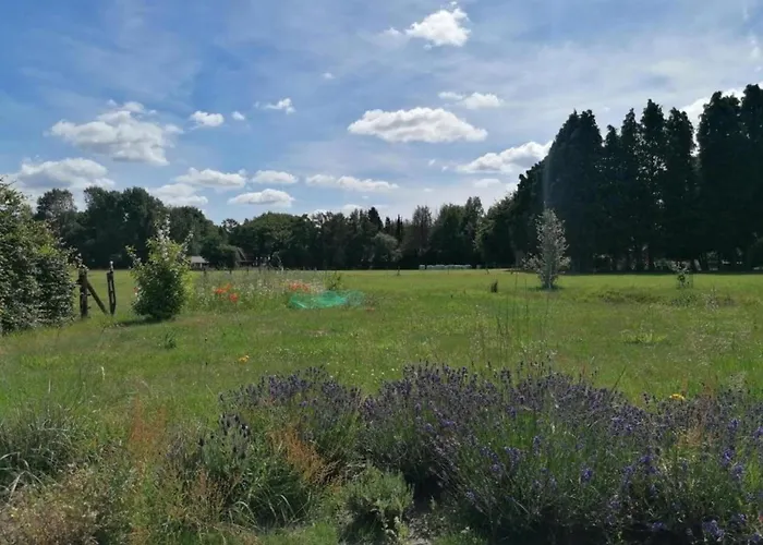 Pets Welcome, Veluwe For Ermelo